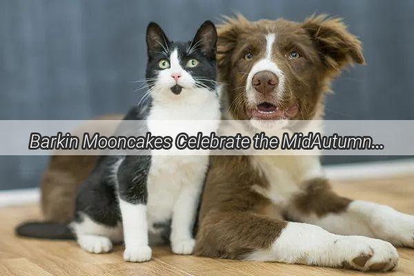 Barkin Mooncakes Celebrate the MidAutumn Festival with Your Furry Friend